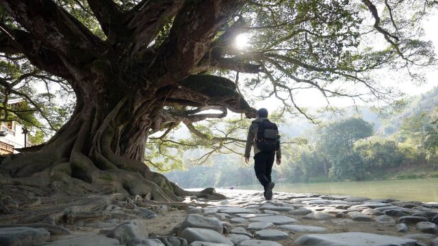 福建南靖云水谣,电影《云水谣》拍摄地,原生态的古村落令人神往