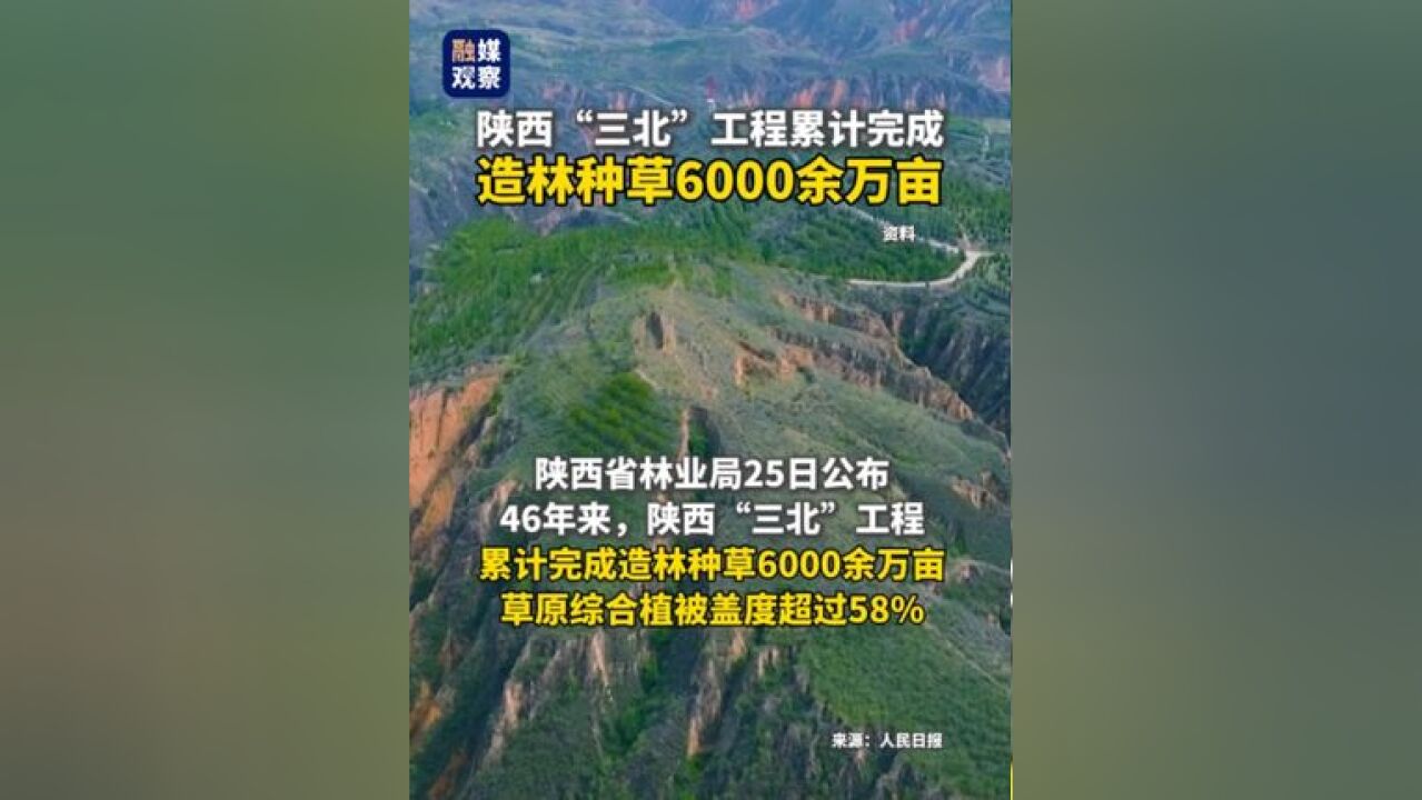 陕西“三北”工程累计完成造林种草6000余万亩