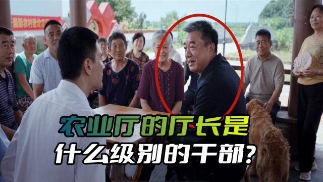 《县委大院》省农业厅的厅长到底是什么干部?怪不得曹立新那么拼