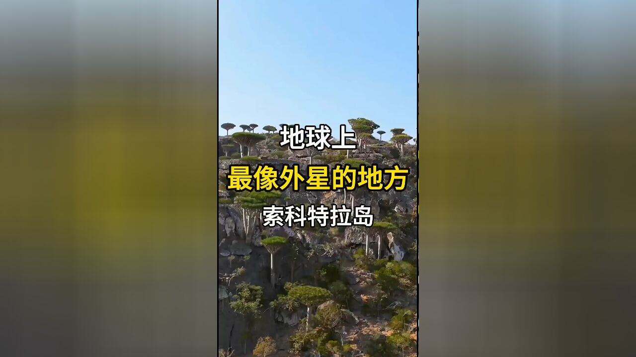 地球上最像外星的地方:索科特拉岛