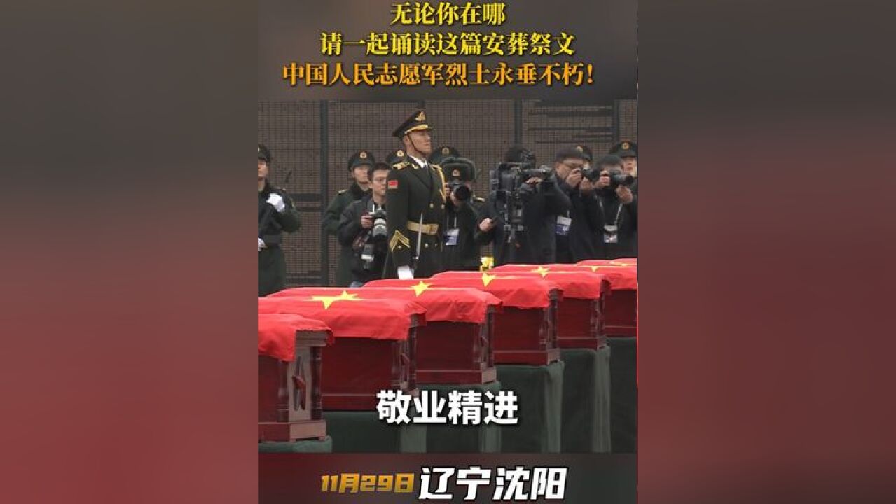 无论你在哪 请一起诵读这篇安葬祭文 中国人民志愿军烈士永垂不朽