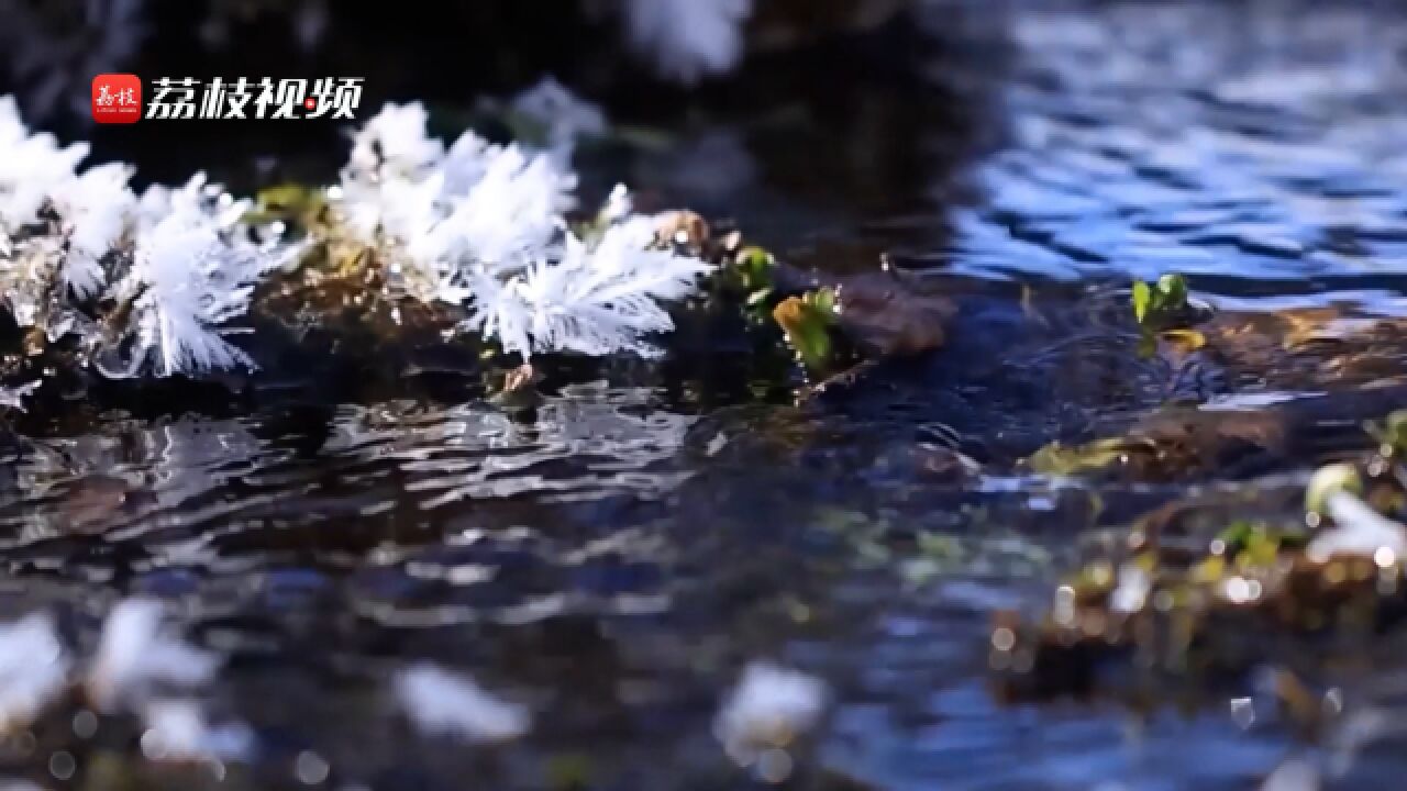 生机盎然!新疆伊犁冰雪消融春意渐来