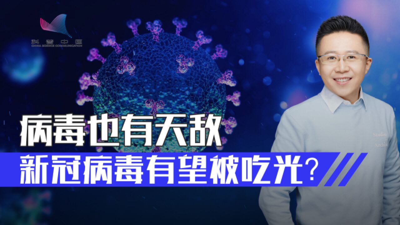 谁在生物链中吃病毒?病毒的天敌或许能为人类服务