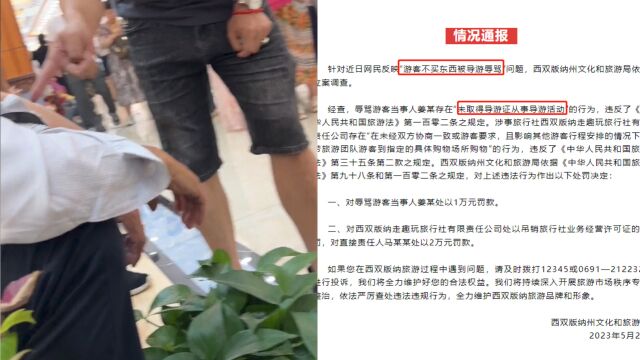 西双版纳通报游客不买东西被骂:男子无证带团罚款1万元,吊销旅行社执照