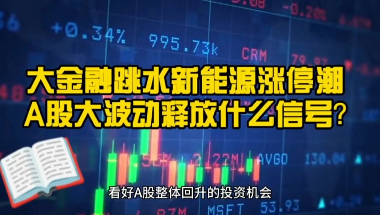 两日最高百点下挫 大金融跳水而新能源涨停潮 什么信号?