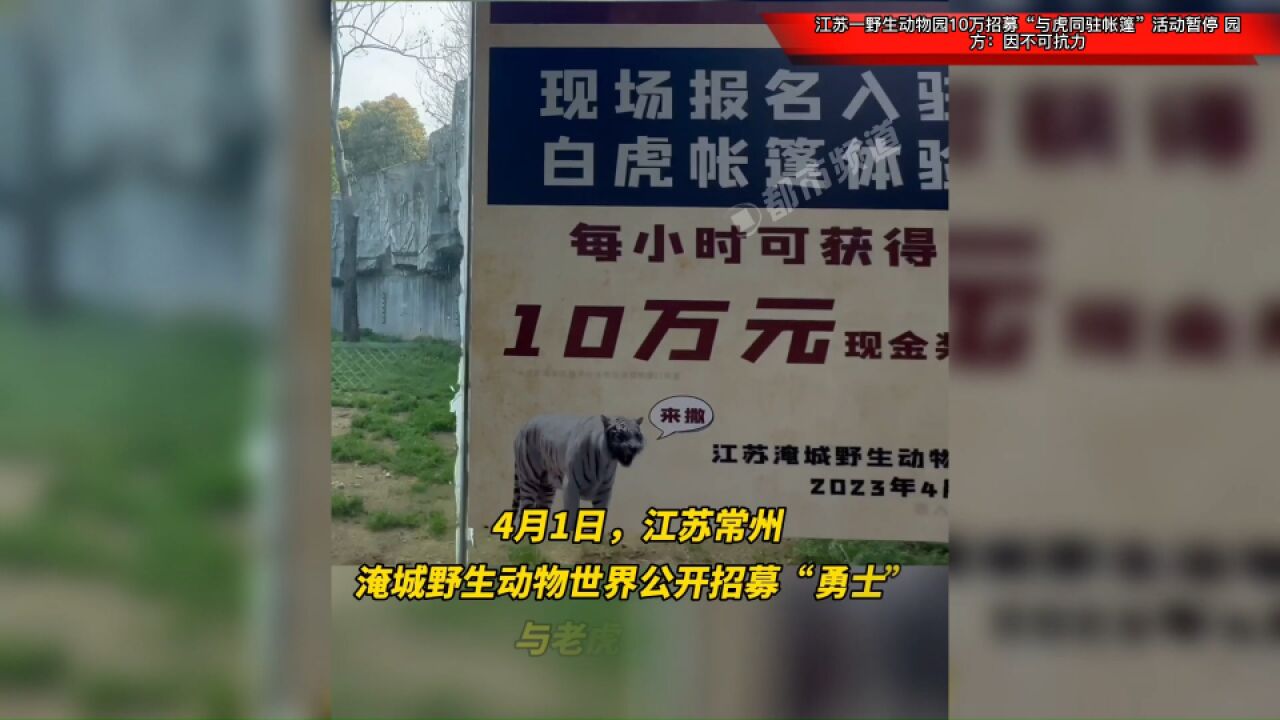 江苏一野生动物园10万招募“与虎同驻帐篷”活动暂停,园方:因不可抗力