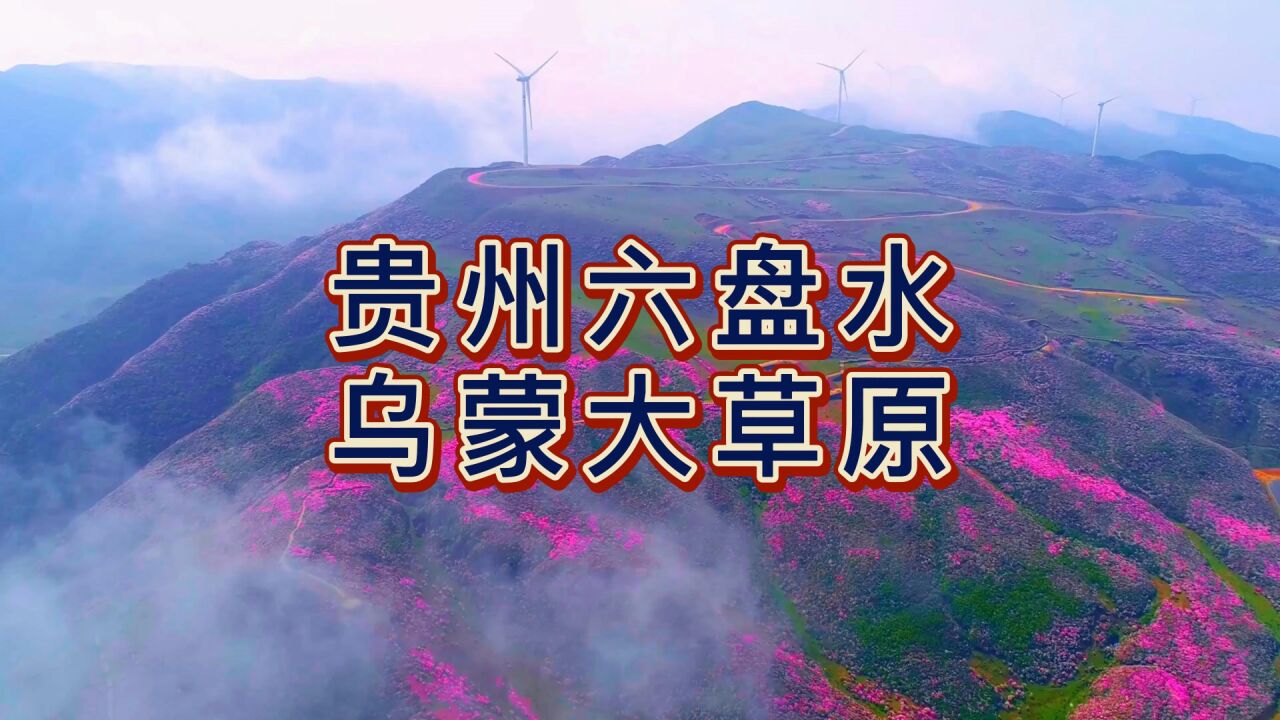 航拍乌蒙大草原,国家4A级旅游景区,南方最迷人的高山草原