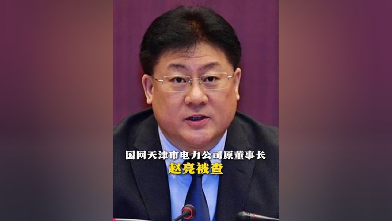 国网天津市电力公司原董事长赵亮被查