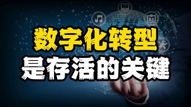 绝大多数企业,为什么活不过3年?数字化转型是存活的关键!