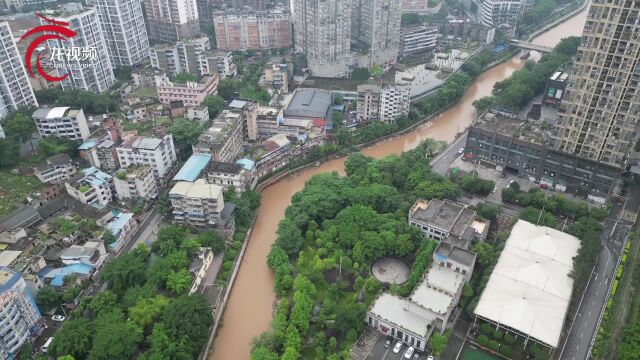 视频 | “大渝治水”数字赋能!重庆这个智能平台实时监控全市120条河流水环境状况