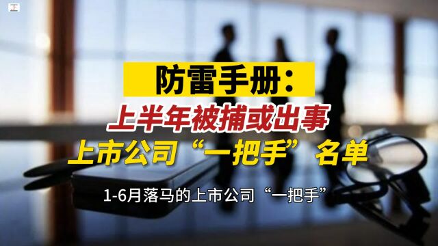 防雷手册:上半年被捕或出事上市公司“一把手”名单