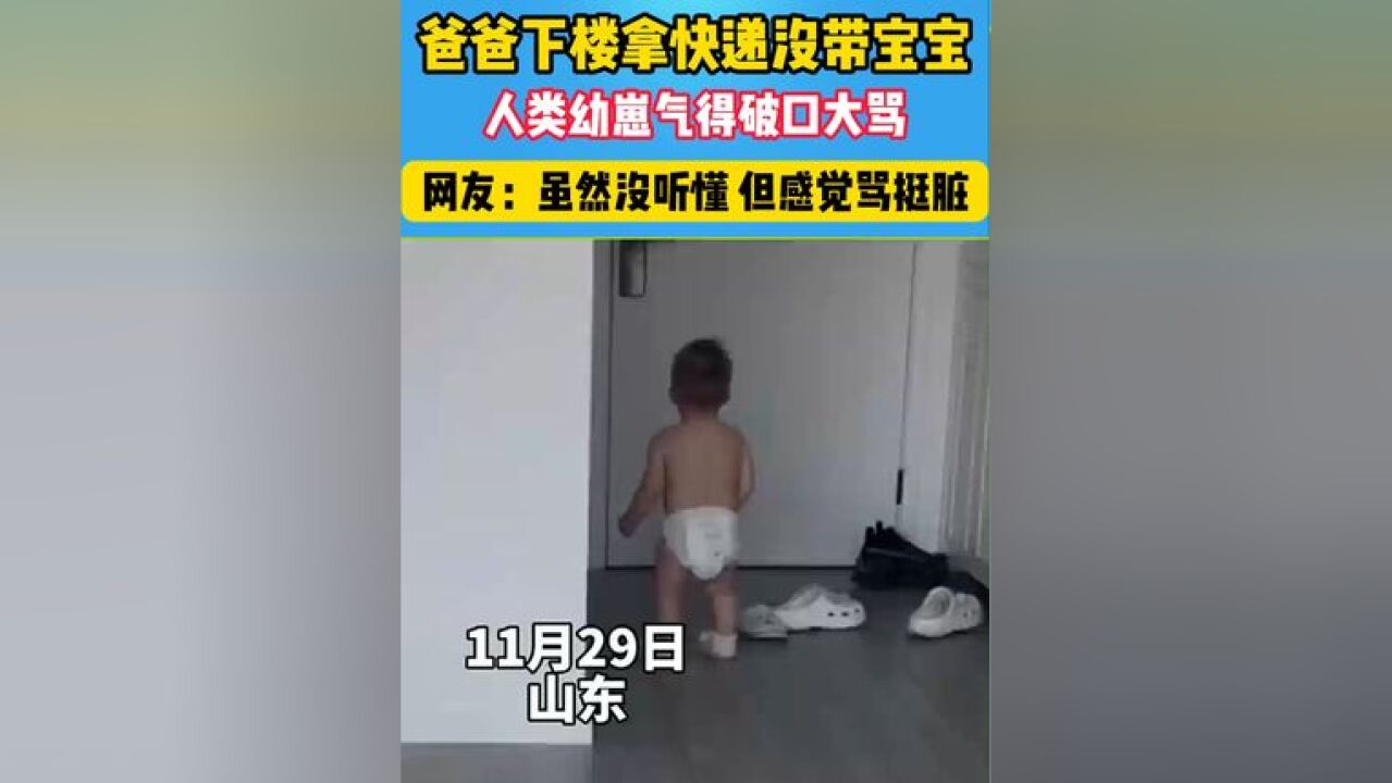 人类幼崽气得破口大骂