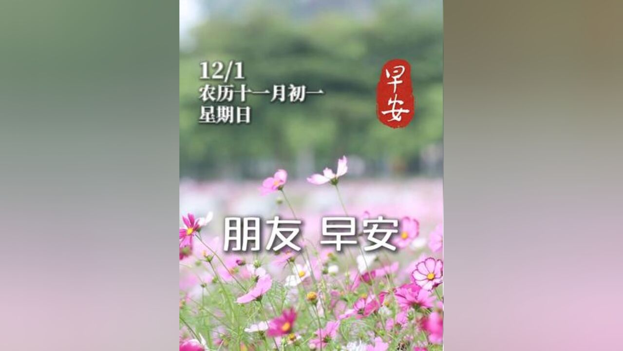 岁月如歌,福运长伴,今天是12月1日星期日,愿您和家人事业有成 步步高,家庭幸福笑开颜#早安 #问候