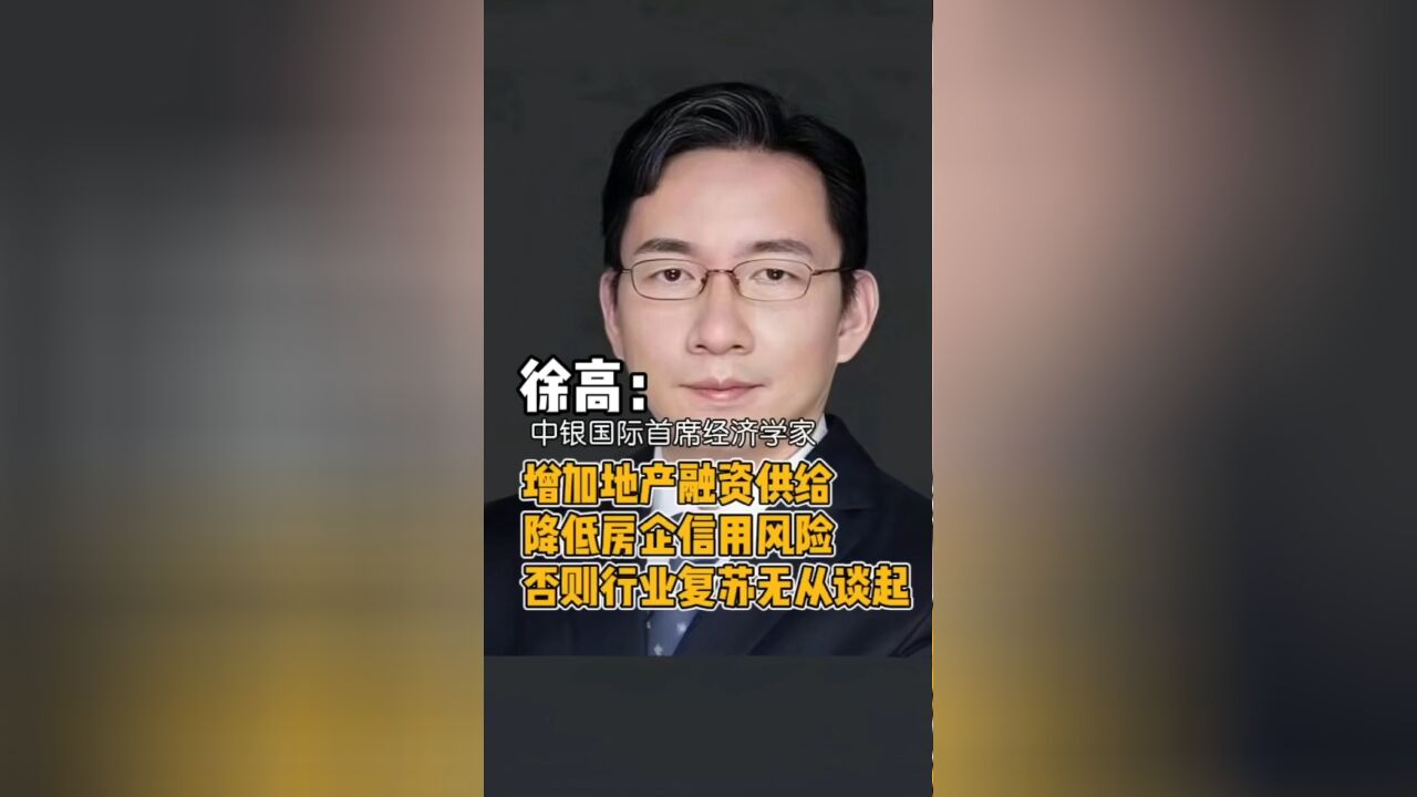 中银国际首席经济学家徐高:必须把房企信用风险打下来,否则市场稳定、行业复苏都无从谈起