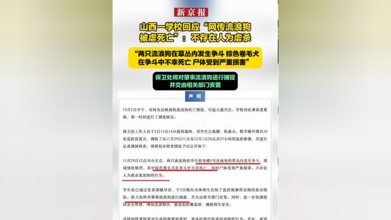 山西一学校回应“网传流浪狗被虐死亡”:不存在人为虐杀 “两只流浪狗在草丛内发生争斗 棕色卷毛犬在争斗中不幸死亡