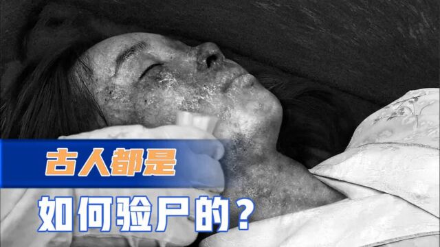 古人都是如何验尸的?悬疑剧《大宋提刑官》