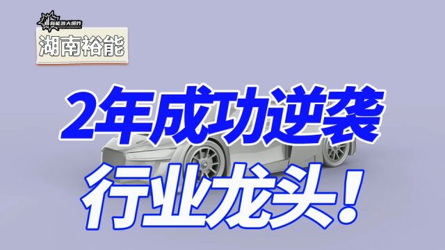 宁王和迪王双重加持,2年逆袭为行业龙头,疯狂的湖南裕能