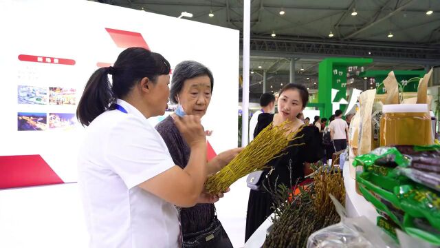 视频 | 第二届熊猫消费节主题展开幕 主题市乐山展馆精彩亮相