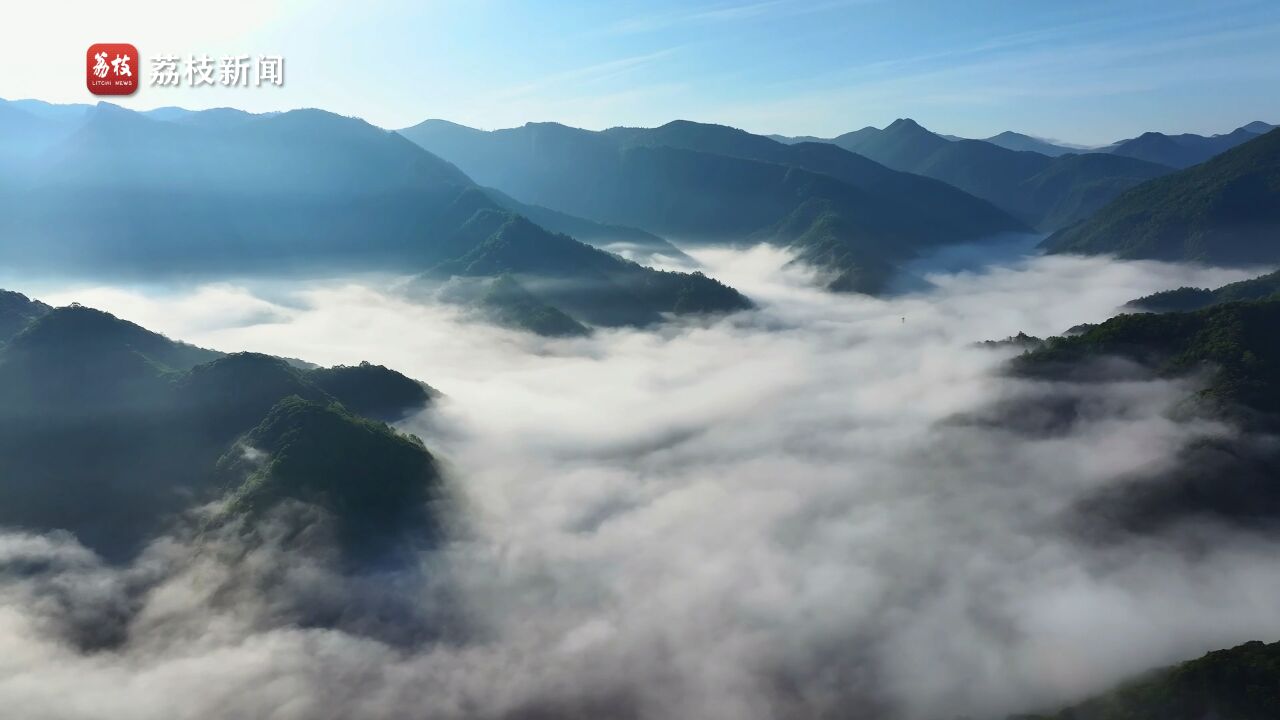 晨曦之梦!感受清晨云海的诗意律动