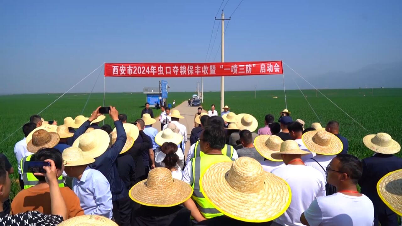 “一喷三防”田管忙 助力夏粮“堆满仓”