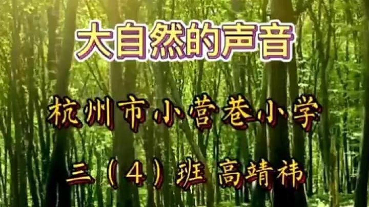 领读者:杭州市小营巷小学学生高靖祎