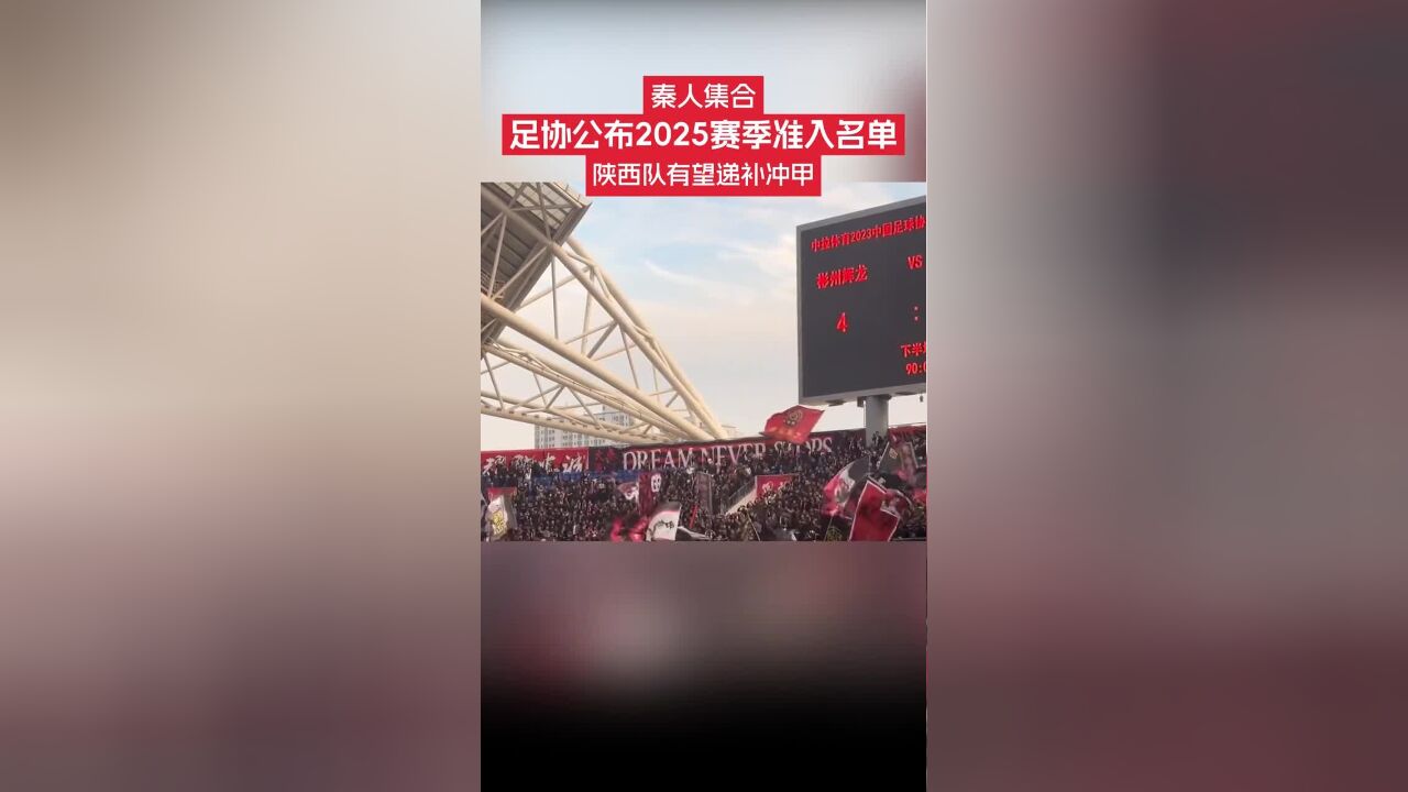 1月6日,中国足协公布了获得2025赛季新赛季准入名单,按照准入名单&递补规则,2024赛季中乙的第三名深圳青年人和第四名陕西联合将参加新赛季中甲.