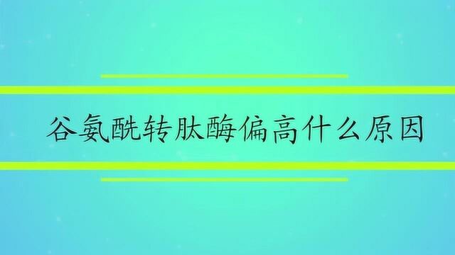 谷氨酰转肽酶偏高什么原因