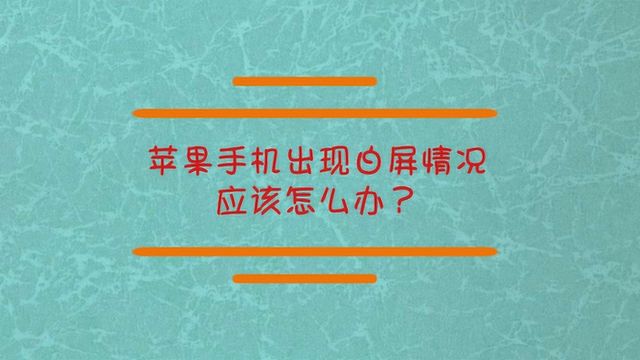 苹果手机白屏了怎么办?