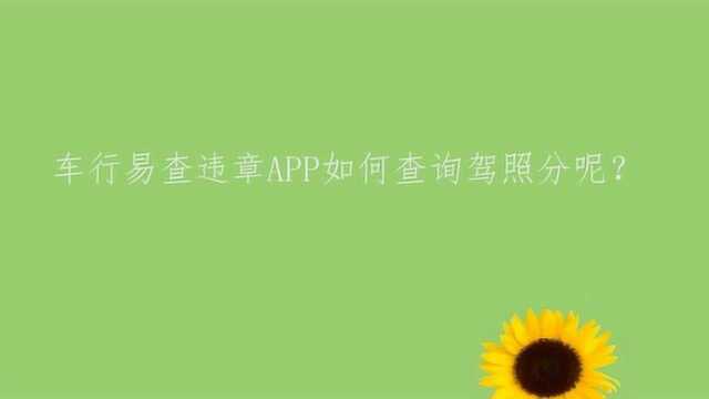 车行易查违章APP如何查询驾照分呢?