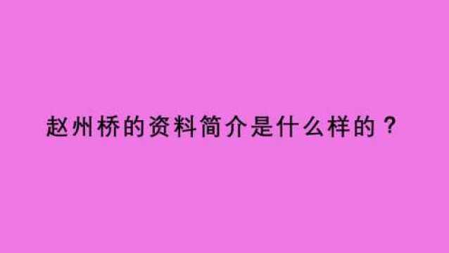 赵州桥的资料简介是什么样的?