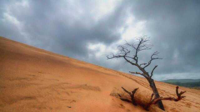 鲁卜哈利沙漠下了场24小时暴雨,人们却变得非常担忧,这是为何