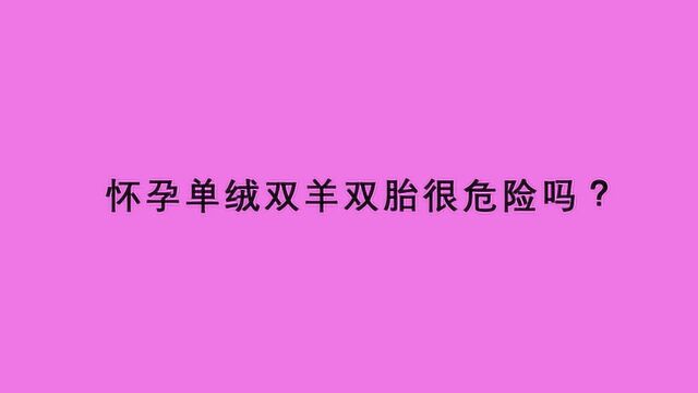 怀孕单绒双羊双胎很危险吗?