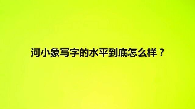 河小象写字的水平到底怎么样?