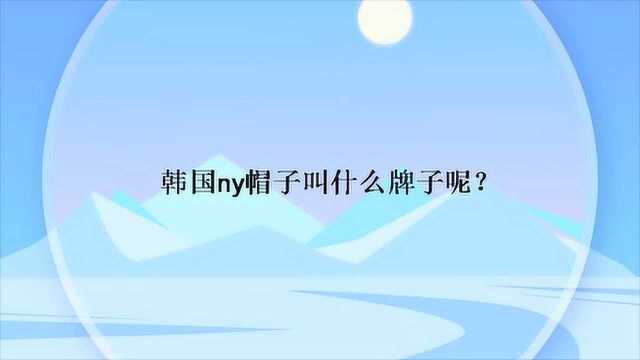 韩国ny帽子叫什么牌子呢?