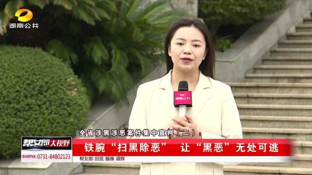 全省涉黑涉恶案件集中宣判(二)