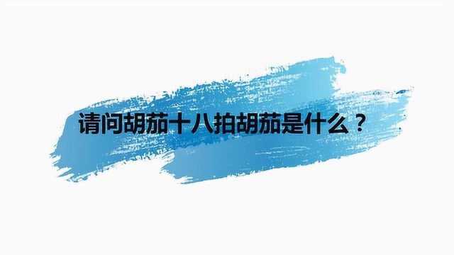 请问胡笳十八拍胡笳是什么?