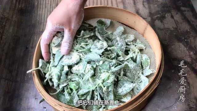 荆芥大家都怎么吃?教你个最特别的吃法,又软又筋又好吃