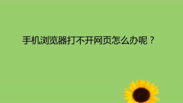 手机浏览器打不开网页怎么办呢?