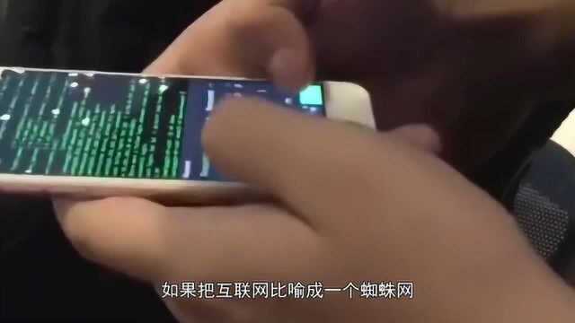 网络爬虫是啥玩意儿?有什么用呢,看完明白