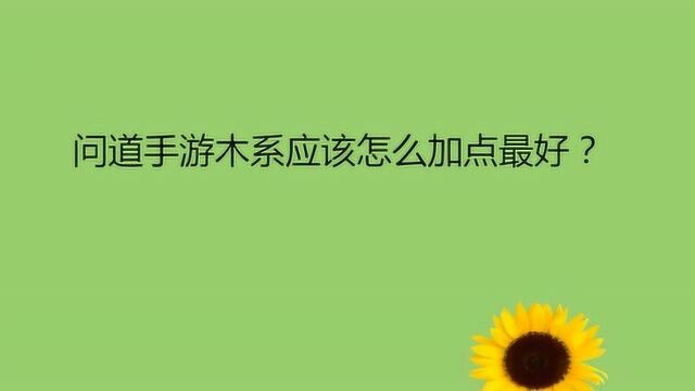 问道手游木系应该怎么加点最好?