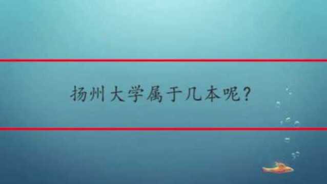 扬州大学属于几本呢?