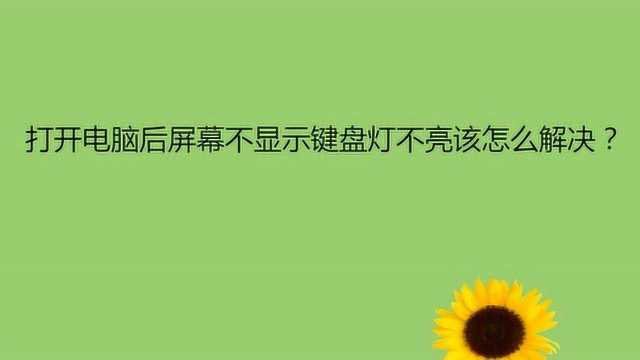 打开电脑后屏幕不显示键盘灯不亮该怎么解决?