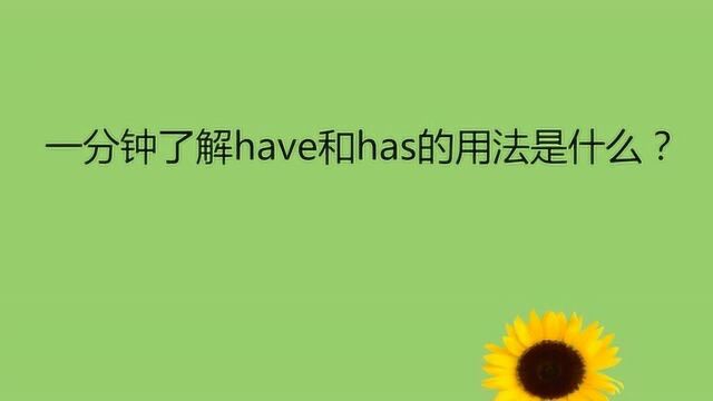 一分钟了解have和has的用法是什么?