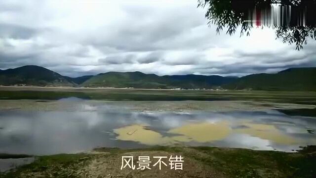 香格里拉的那帕海,海拔3000米以上的高原明珠,你愿意来这里度假吗?