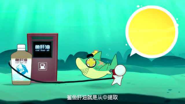 《鲨鱼》完整版鲨鱼生态动漫娱乐