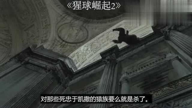 几分钟看完《星球崛起2》人类文明不复存在猿族即将崛起