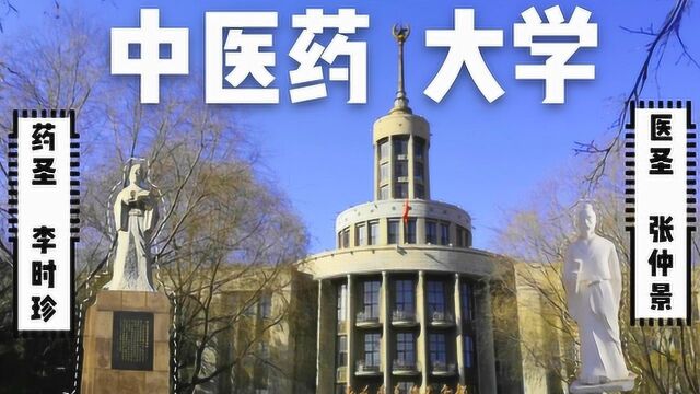 哈尔滨中医药大学“灵魂人物”,为啥不是医圣张仲景?而是药圣?