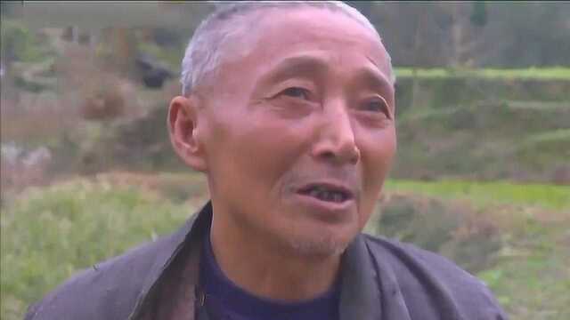 小山村有多座精致龙桥,村民竟称是保护神,洪水漫不过龙桥