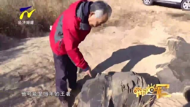 【阳光关注】中卫北长滩新发现30多幅人面像岩画群