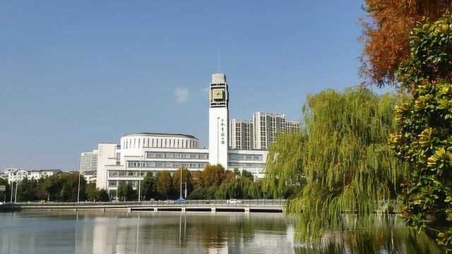 冬暖夏凉的休闲去处~景色宜人的合肥市图书馆